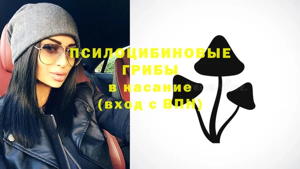 стафф Бронницы