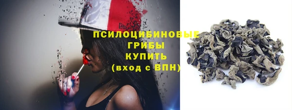 стафф Бронницы