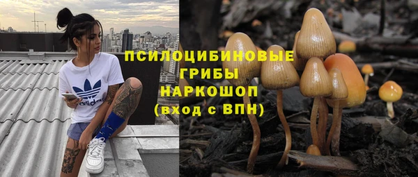 соль ск Бугульма