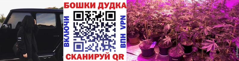 blacksprut ссылки Кириллов Бошки марихуана семена